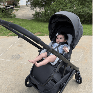 Submitted by allysome