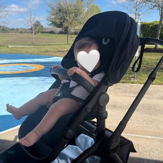 Submitted by tanyapaine