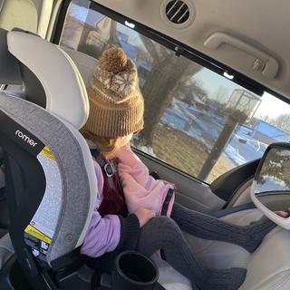 Submitted by CorgiMamaOf2