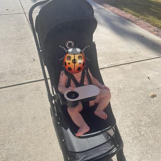 Submitted by RebeccaW