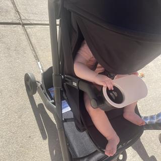 Submitted by RebeccaW