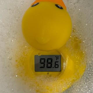 Submitted by Victoria