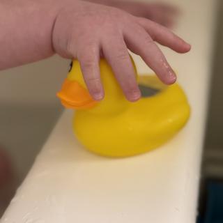 Submitted by Victoria