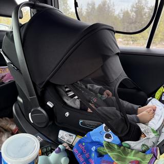 Submitted by SWilairat