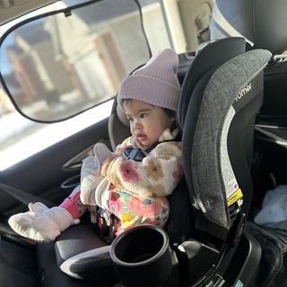 Submitted by Catwlopez