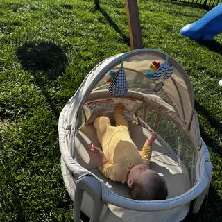 Submitted by CandMom