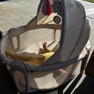 Submitted by CandMom