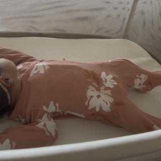 Submitted by Mrodriguez