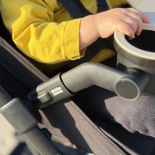 Submitted by Lauren O