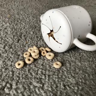 Submitted by Molly Fader