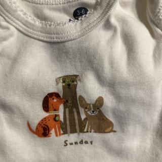 Submitted by Stroller Travel Bag