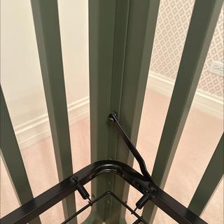 Submitted by Emily S