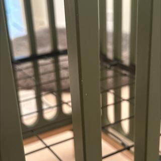 Submitted by Emily S