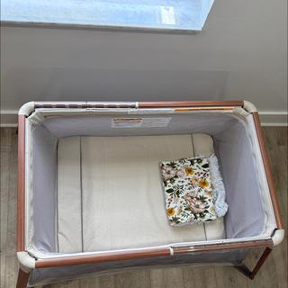 Submitted by Kourtney F