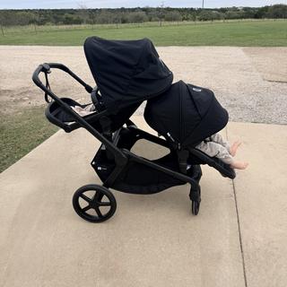 Submitted by Samantha Thomas