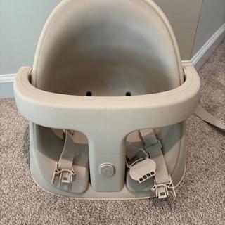 Submitted by Maddie C