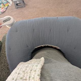 Submitted by Danni