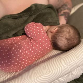 Submitted by Tabikat