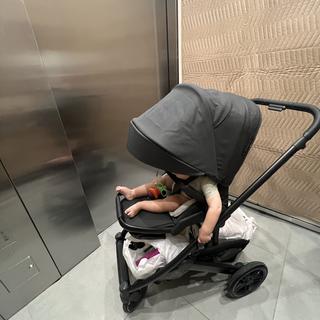 Submitted by Mama on the Go