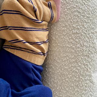 Submitted by Delaney