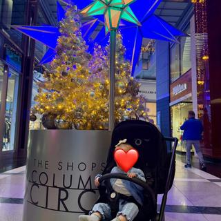 Submitted by Lindsey O