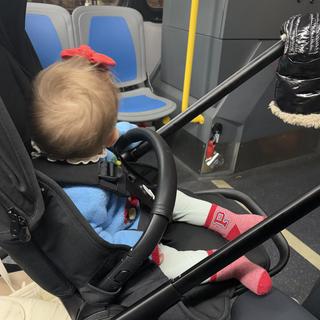 Submitted by Lindsey O