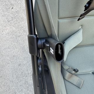 Submitted by Lynda M