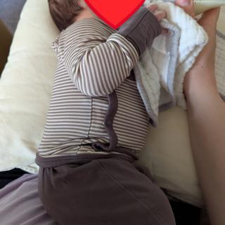 Submitted by Shelley