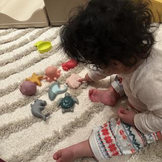 Submitted by Holly G