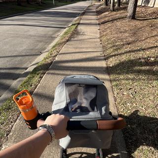 Submitted by Gabriela