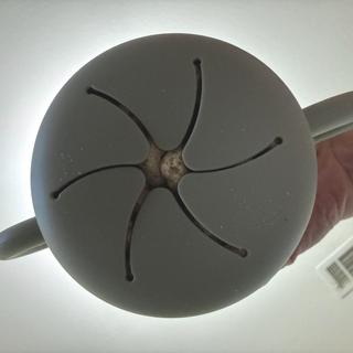 Submitted by Jessica