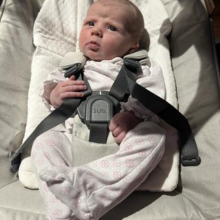 Submitted by Preckitty85