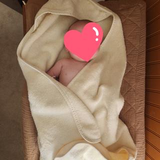 Submitted by mollyann2014