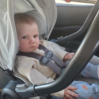 Submitted by MargaretMartine