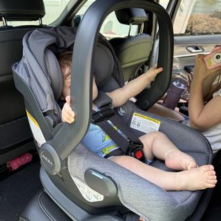 Submitted by Aliciagoose