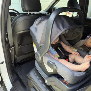 Submitted by Aliciagoose