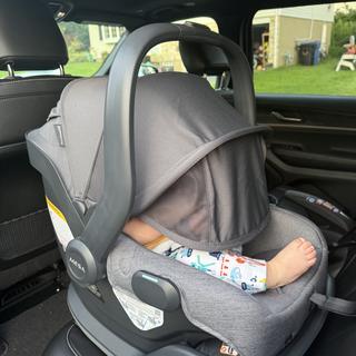 Submitted by Aliciagoose