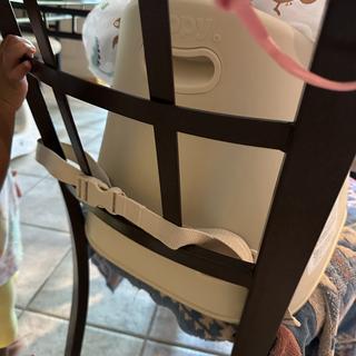 Submitted by MamaBear3