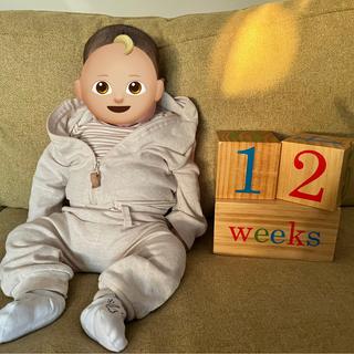 Submitted by jemames