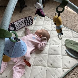 Submitted by WhitRae