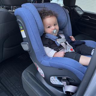 Submitted by MsFornari