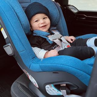 Submitted by MsFornari