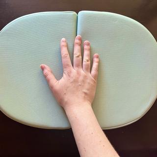 Submitted by Sarah R