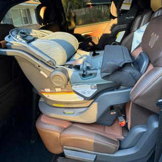 Submitted by Sarcasme