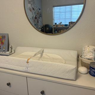 Submitted by Tiny Human, Big Opinions