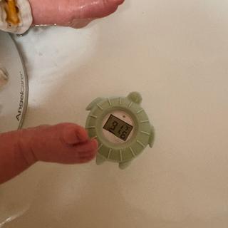 Submitted by Hannah