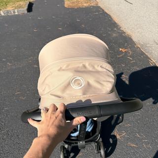 Submitted by Madeline21