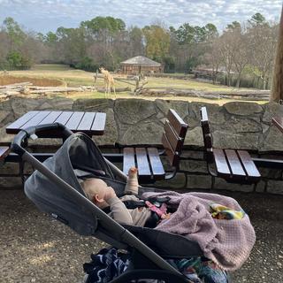 Submitted by Nicesurvey