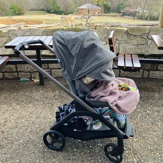 Submitted by Nicesurvey