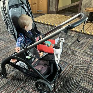 Submitted by Nicesurvey